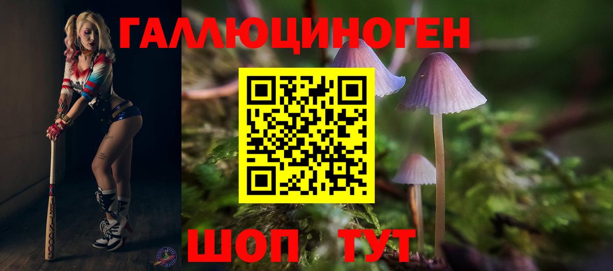 Саров  Галлюциногенные грибы ЛСД  Вход с VPN 